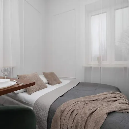 Functional Pet-friendly Micro-apartment In By Renters *